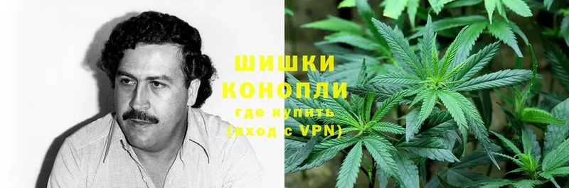 Бошки Шишки Ganja  Грозный 